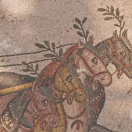 Dante * Barrafranca